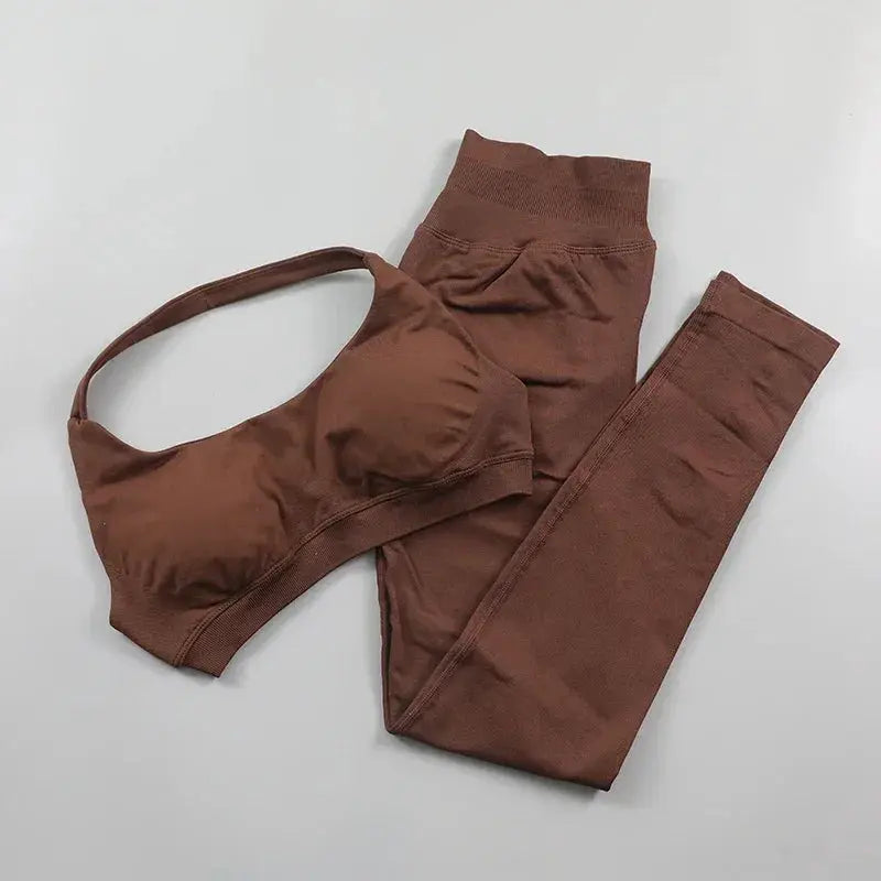 Seamless High Elastic Yoga Set Women 2 Piece Sportswear