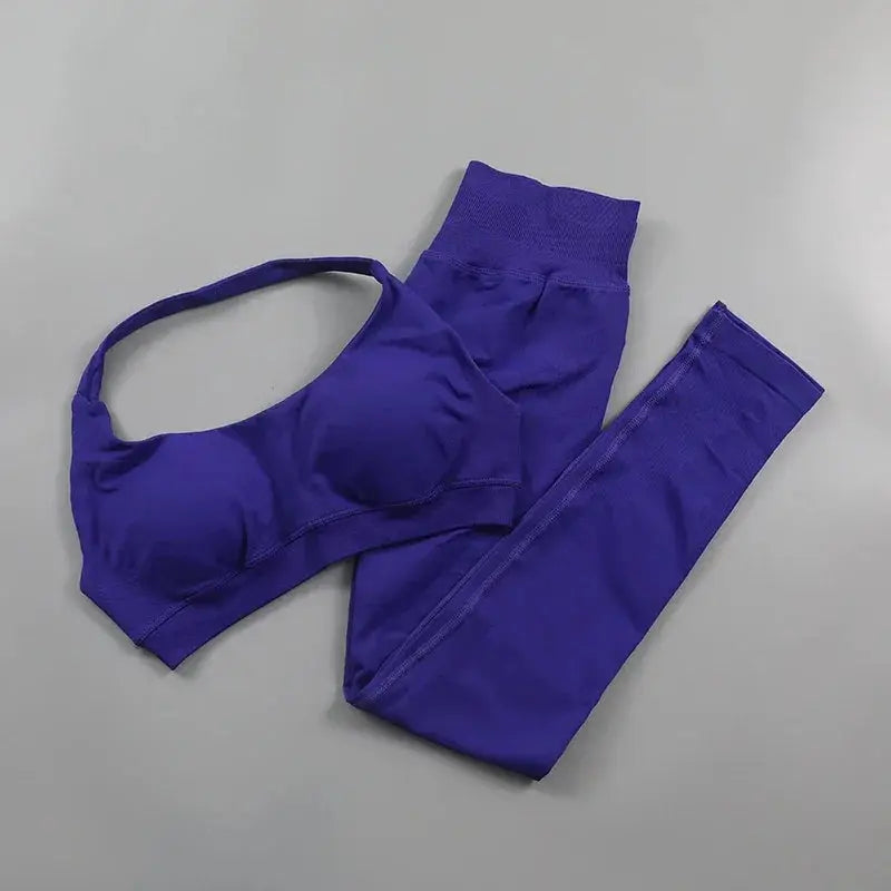 Seamless High Elastic Yoga Set Women 2 Piece Sportswear