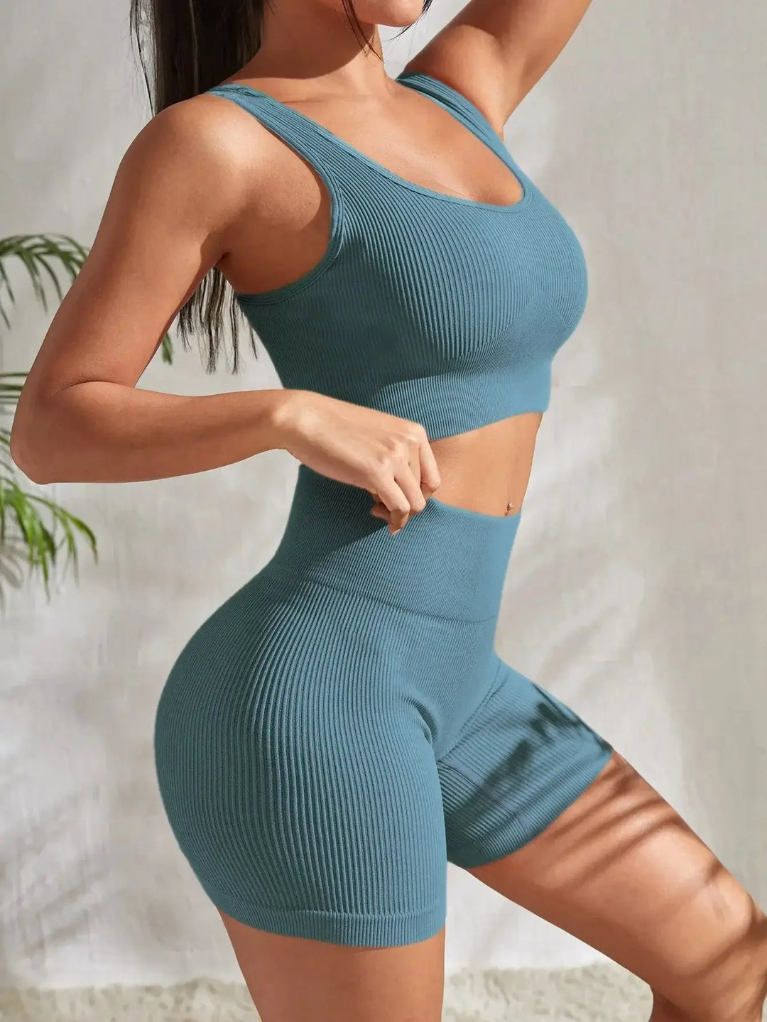 Women Seamless Ribbed Yoga Set Two Piece For Fitness