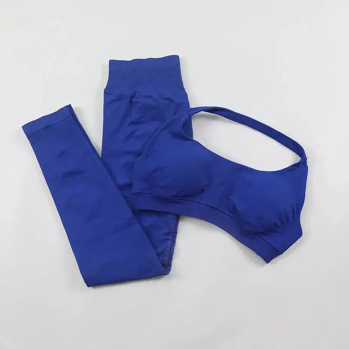 Seamless High Elastic Yoga Set Women 2 Piece Sportswear