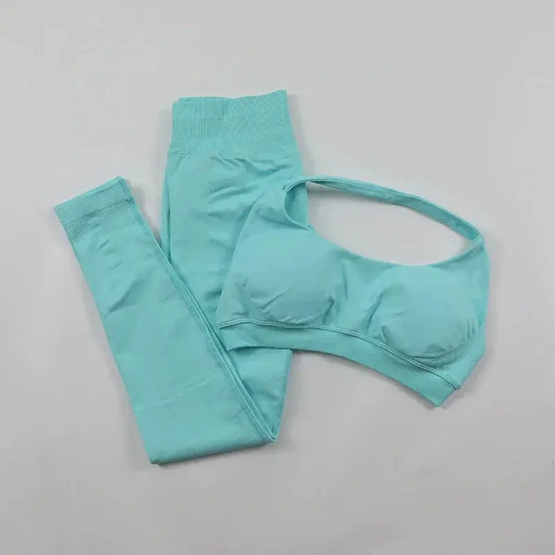 Seamless High Elastic Yoga Set Women 2 Piece Sportswear