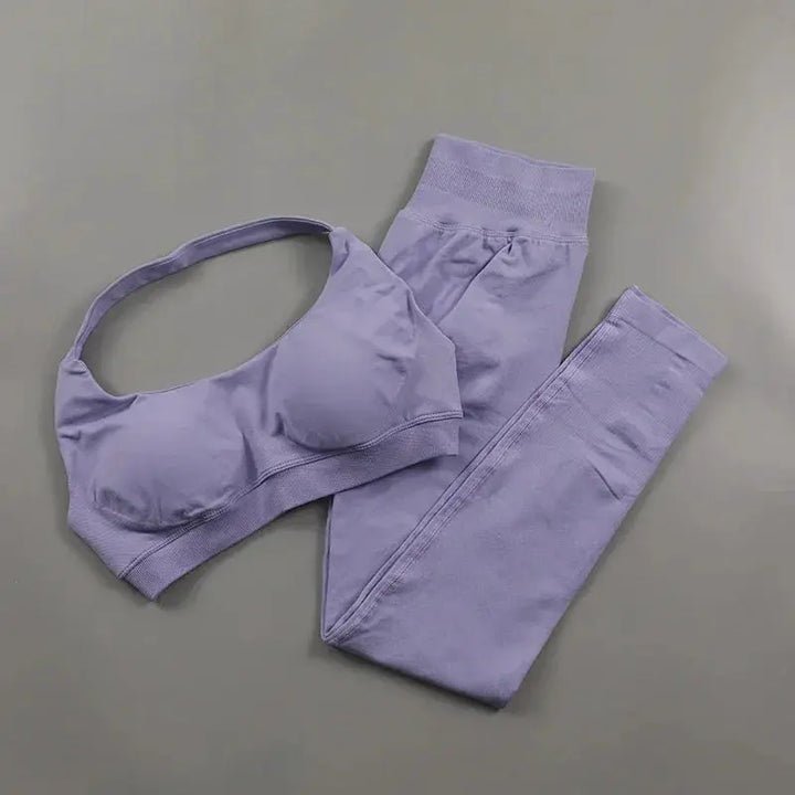 Seamless High Elastic Yoga Set Women 2 Piece Sportswear