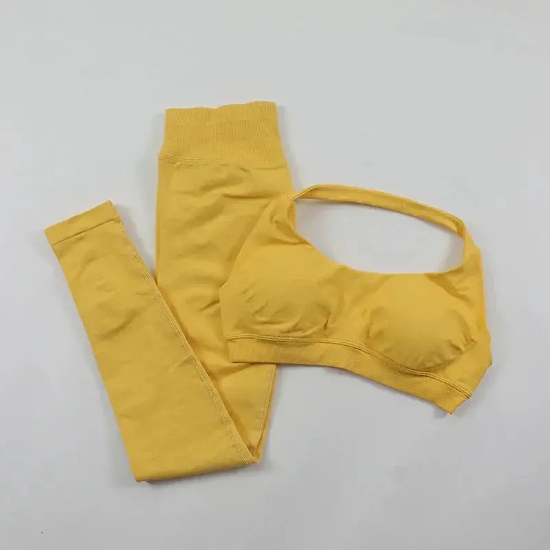 Seamless High Elastic Yoga Set Women 2 Piece Sportswear