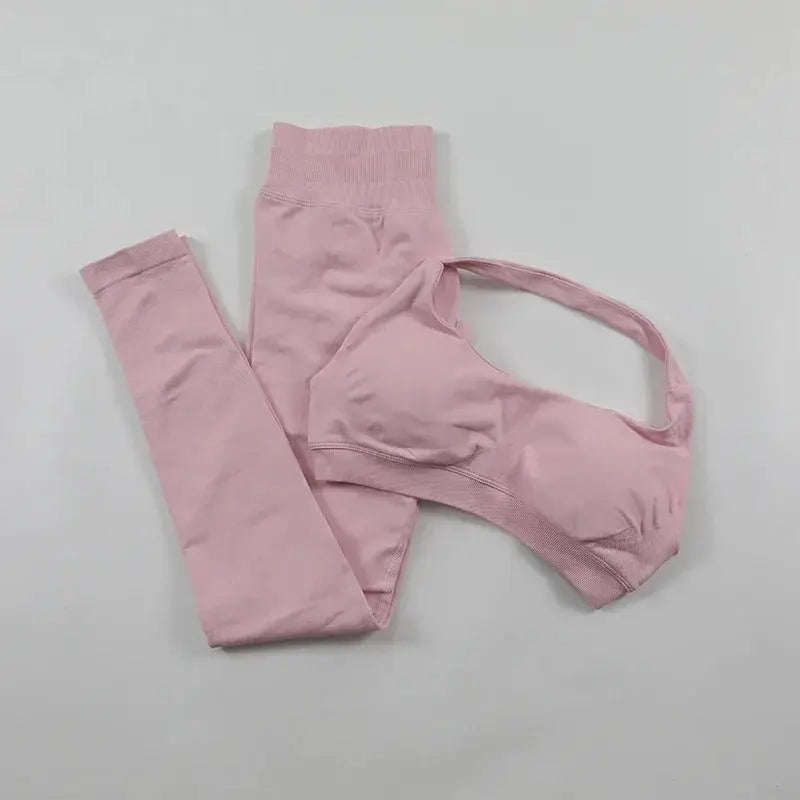 Seamless High Elastic Yoga Set Women 2 Piece Sportswear