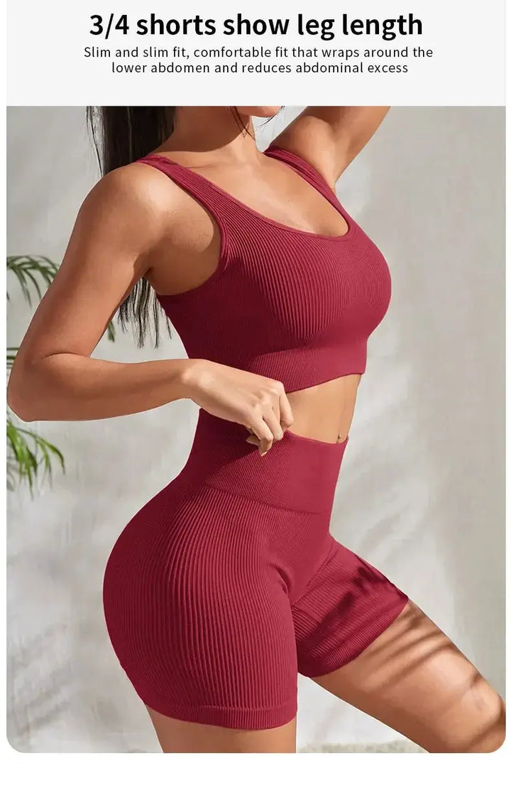 Women Seamless Ribbed Yoga Set Two Piece For Fitness