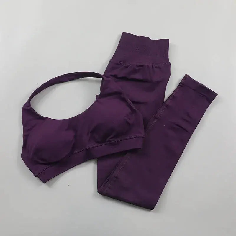 Seamless High Elastic Yoga Set Women 2 Piece Sportswear