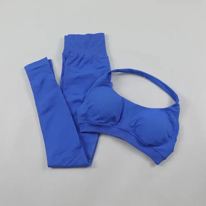 Seamless High Elastic Yoga Set Women 2 Piece Sportswear
