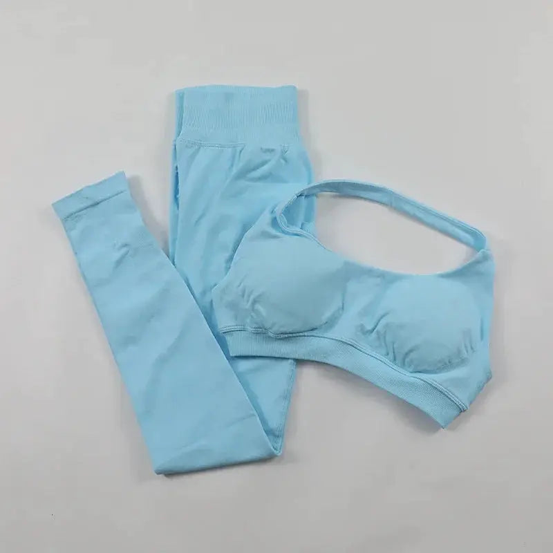 Seamless High Elastic Yoga Set Women 2 Piece Sportswear
